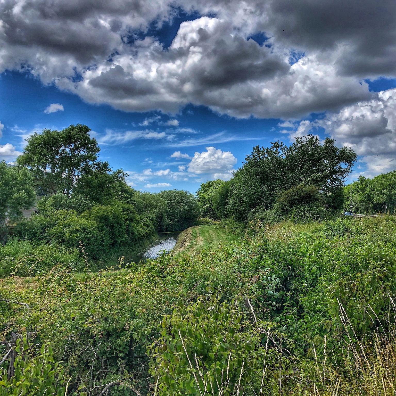 Maintaining the quality – Weeknote #68 – 19th June 2020