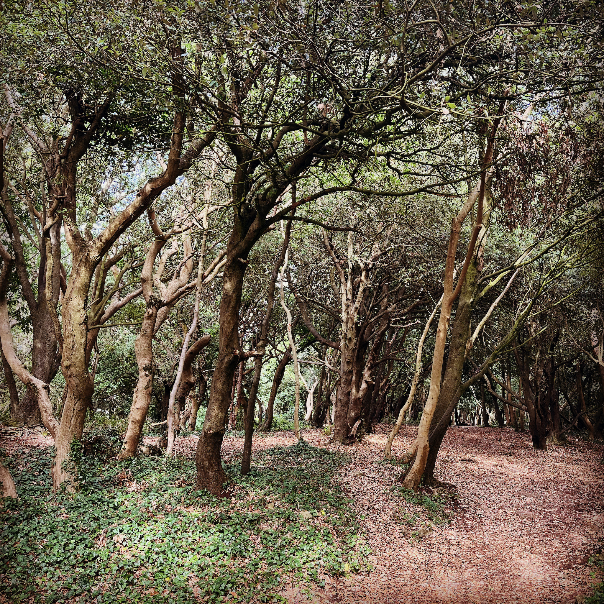 Quiet – Weeknote #178 – 29th July 2022