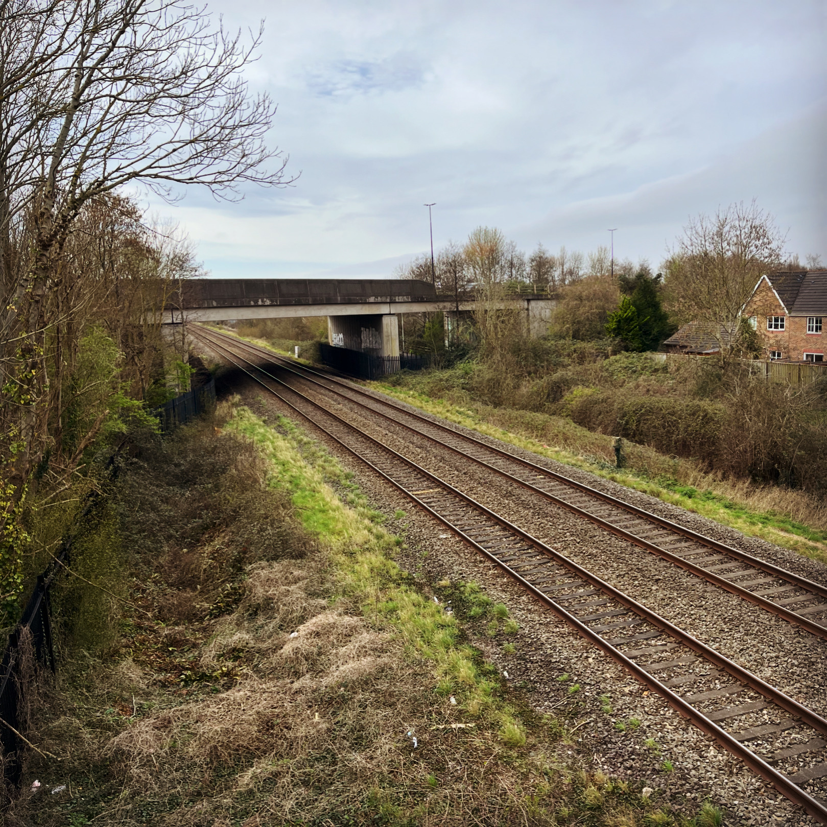 Deck of Cards – Weeknote #264 – 22nd March 2024