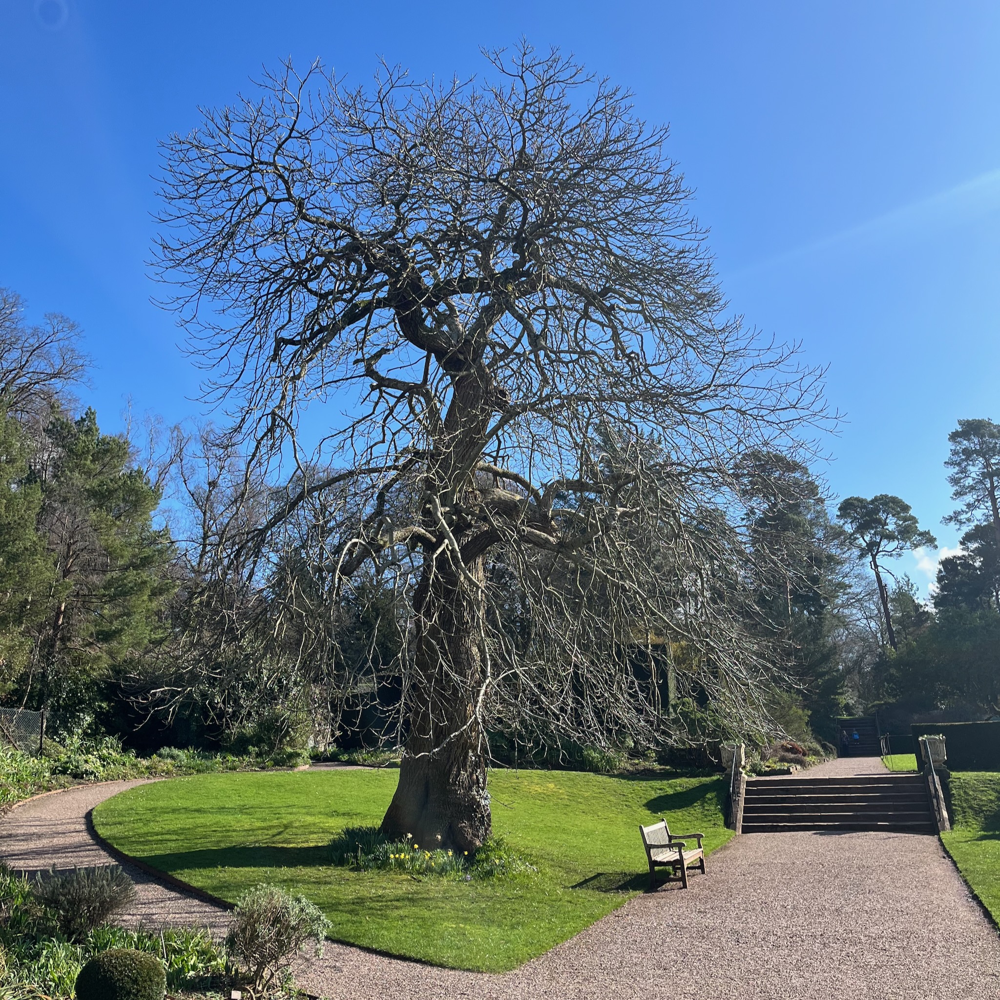 ¡Buenos días! – Weeknote #366 – 6th March 2026