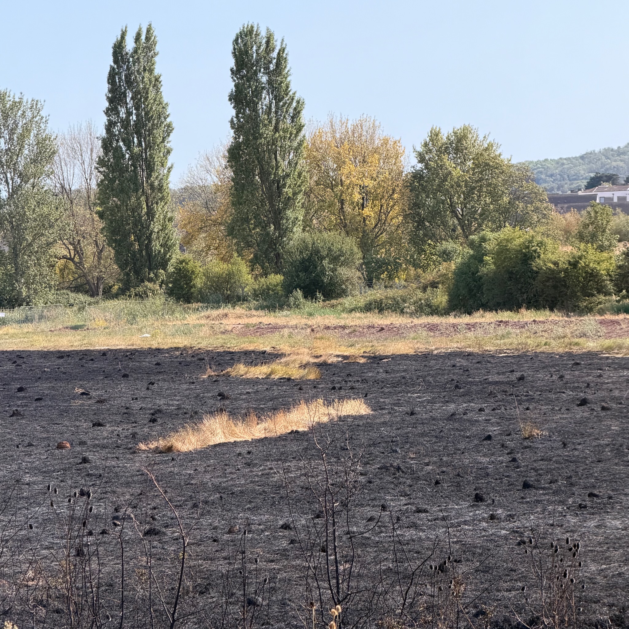 I can smell burning – Weeknote #389 – 14th August 2026